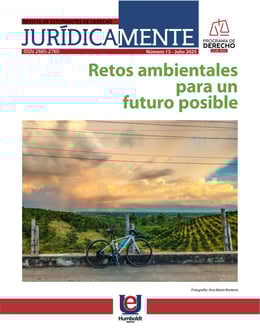 Portada 13