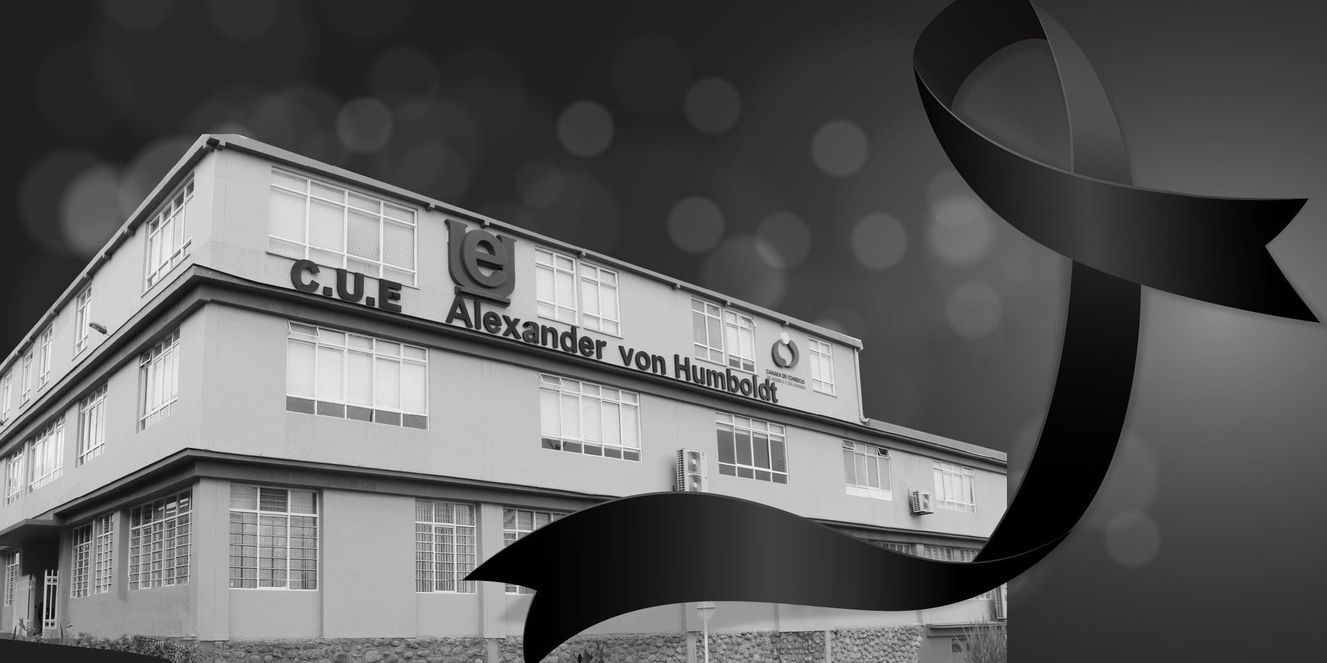 banner web  (1)