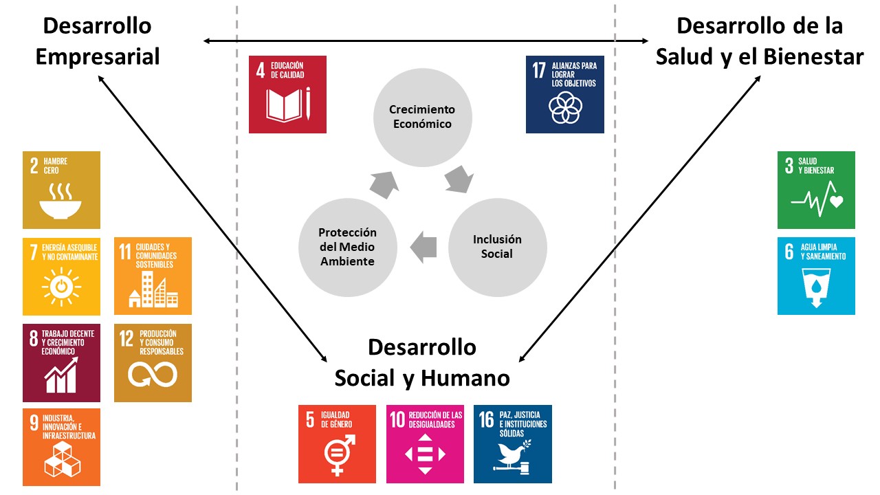 Líneas Institucionales