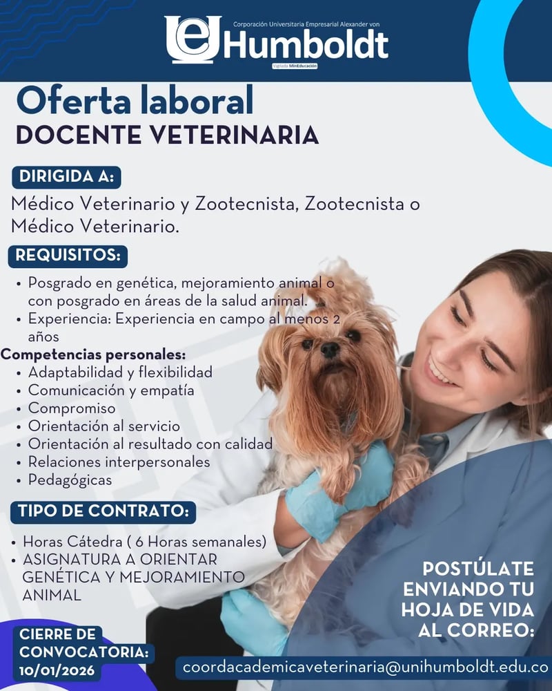 web Vacante 02 MVZ