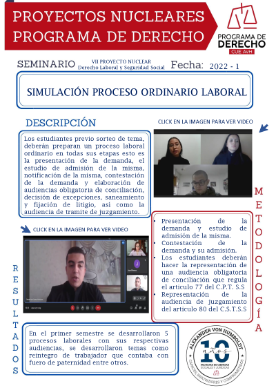 Resumen-proyecto-nuclear-VII_1-2022